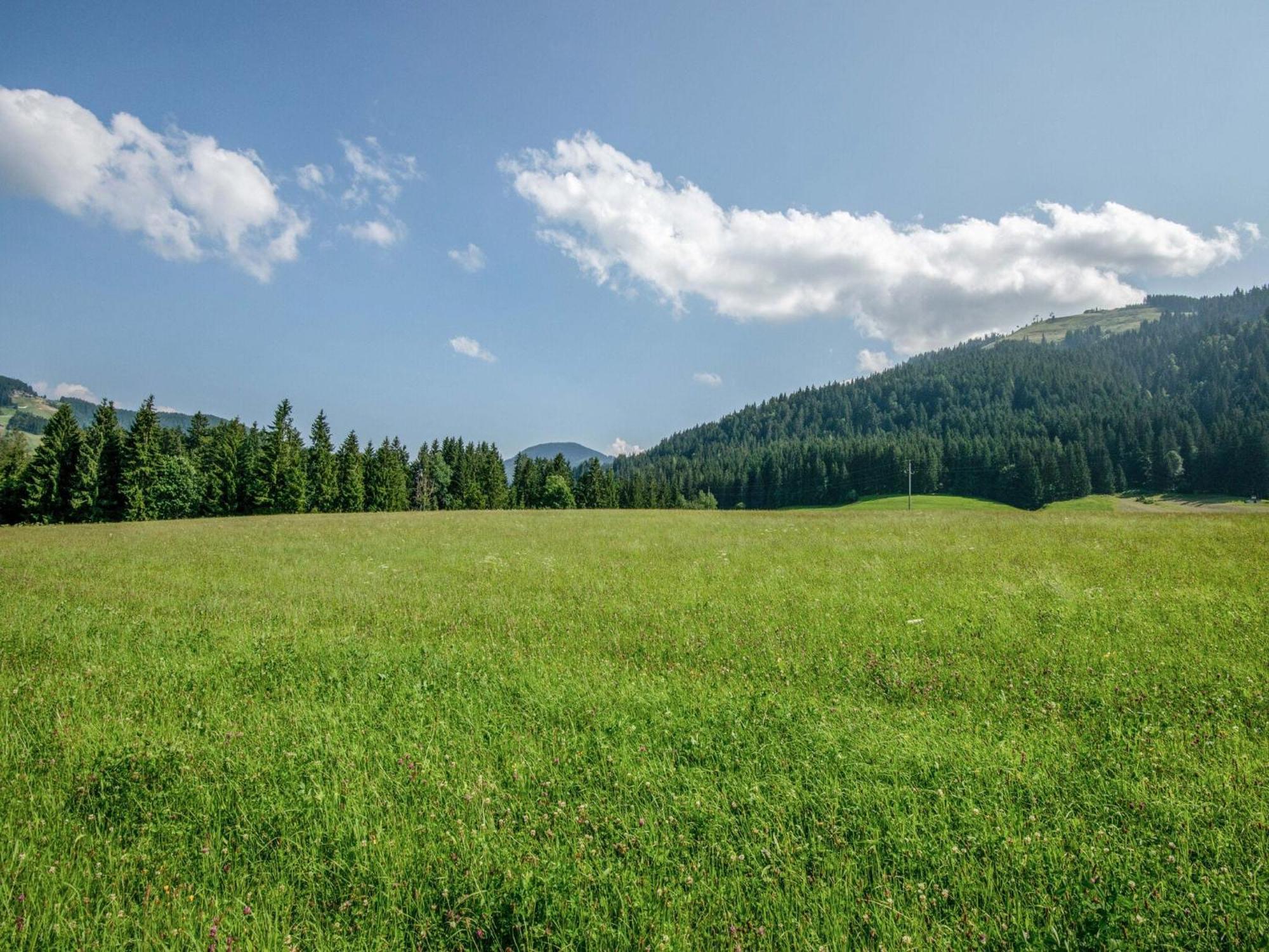 Valley View Holiday Home In エルマウ エクステリア 写真